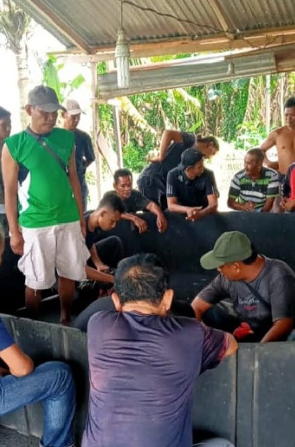 Arena Judi Sabung Ayam Dan Dadu Marak di Desa Sentis, Diduga APH Terima Duit Suap