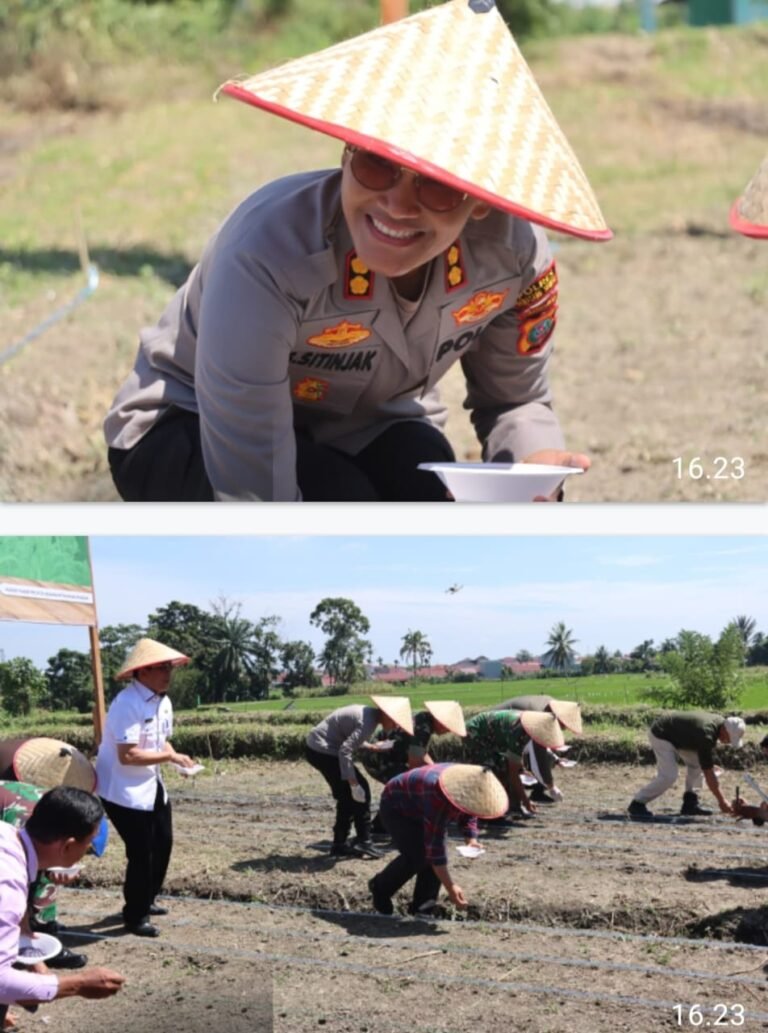 Tingkatkan Swasembada Pangan, Kapolres Pematang Siantar Tanam Jagung Serentak Kuartal IV Tahun 2025