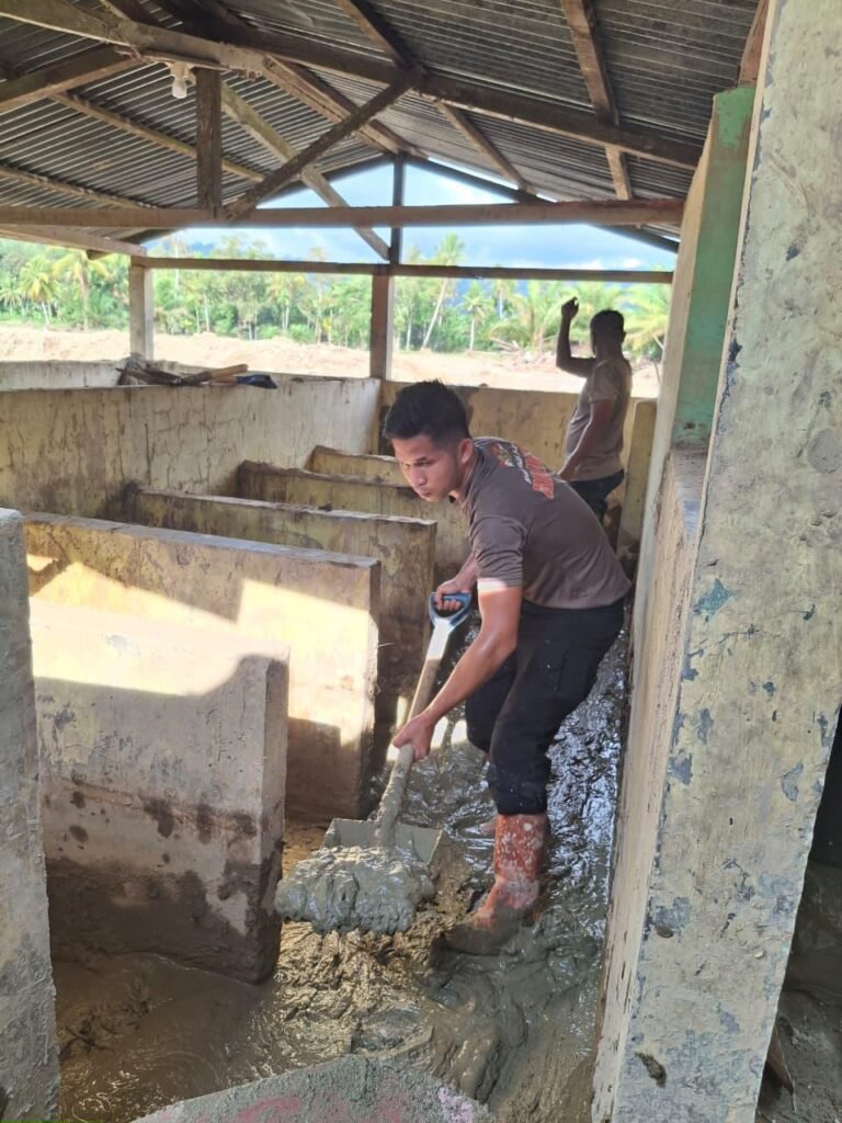 Sinergi Brimob Polda Sumut dan Pramuka, Percepat Pemulihan Fasilitas Ibadah Pasca Bencana Alam