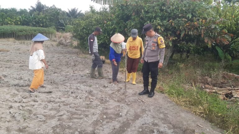 Bhabinkamtibmas Polsek Siantar Utara Serahkan Bibit Jagung Bantuan Polres Pematang Siantar Kepada Warga Binaan