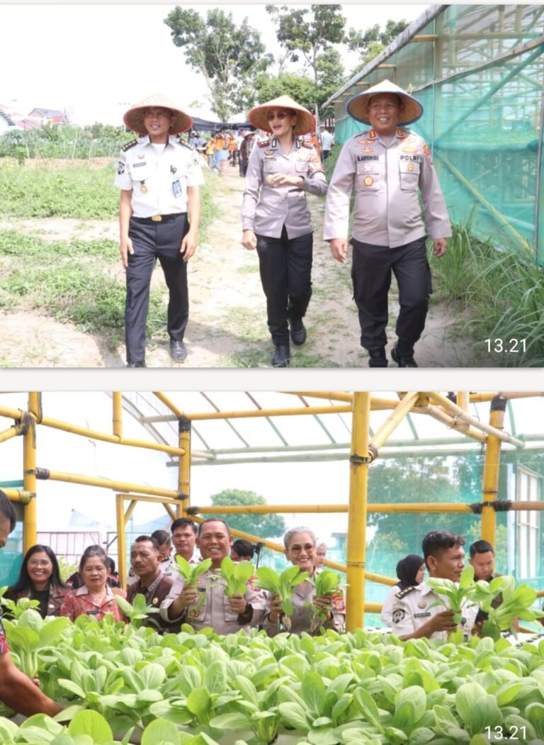 Ikuti Panen Raya, Kapolres Simalungun Semangati Warga Lapas, Jadikan Pengalaman Ini Bekal Kembali ke Masyarakat
