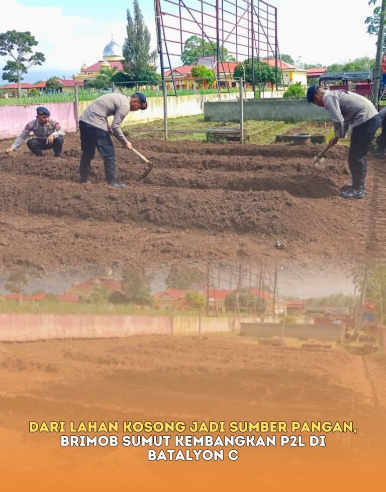 Dari Lahan Kosong Jadi Sumber Pangan, Brimob Sumut Kembangkan P2L di Batalyon C