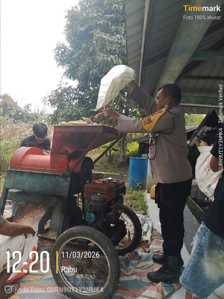 Dukung Swasembada Pangan, Bhabinkamtibmas Polsek Siantar Barat Sambangi Ladang Jagung Warga Binaan