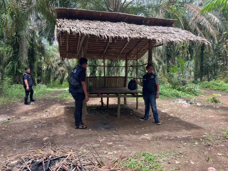 Polres Binjai Kembali Grebek Dan Musnahkan Barak Narkoba di Kecamatan Selesai