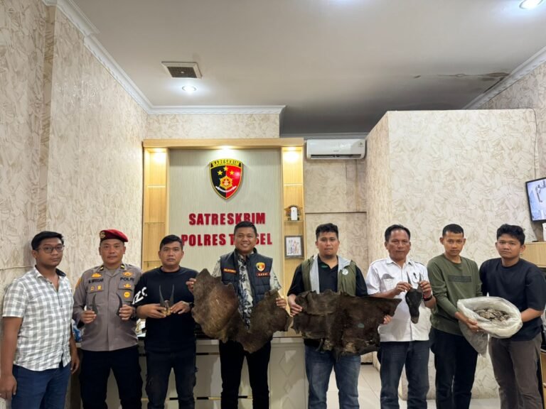 Perdagangan Ilegal Satwa Dilindungi Digagalkan di Sipirok, Polisi Amankan Sisik Trenggiling Hingga Kulit Kijang