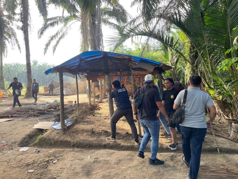 Satresnarkoba Polres Binjai Kembali Grebek Dan Hancurkan Barak Narkoba di Desa Perdamaian