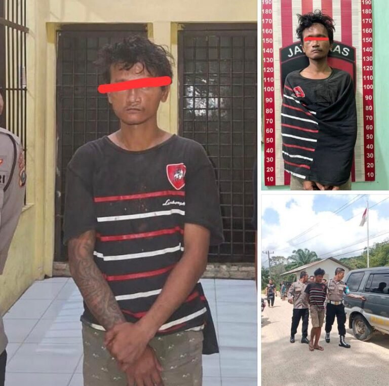 Polres Tapteng Ungkap Kasus Pencabulan Nak di Kecamatan Badiri, Pelaku Berhasil Diamankan