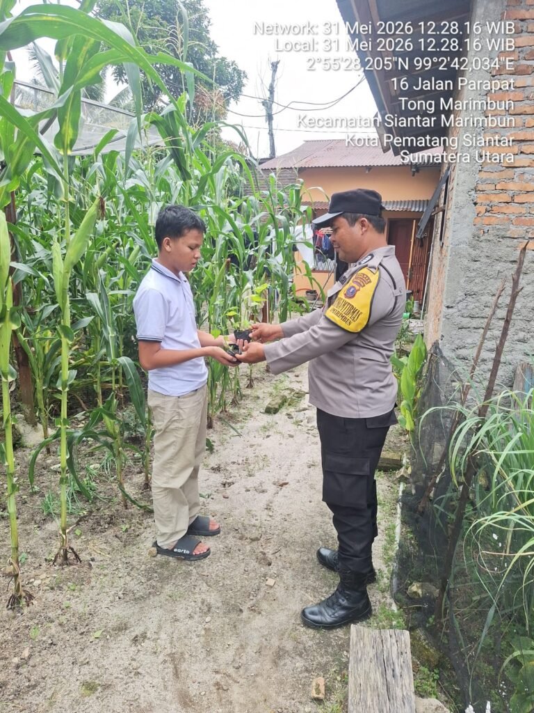 Bhabinkamtibmas Polsek Siantar Marihat Serahkan Bibit Cabe Rawit Dan Sayur Terong ke Warga Binaan