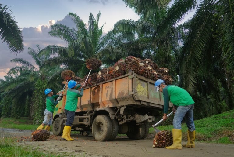 Produksi Tumbuh Dua Digit, Kebun Bah Birung Ulu Perkuat Transformasi dan Pemberdayaan Masyarakat