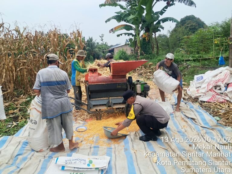 Bhabinkamtibmas Polsek Siantar Timur Cek Ladang Jagung Petani Binaan di Jalan Pattimura Ujung