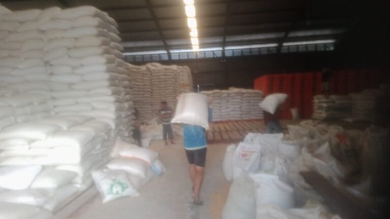 Kapolres Binjai Kembali Kirim 5 Ton Jagung Ke Bulog, Total Serapan Capai 300,2 Ton